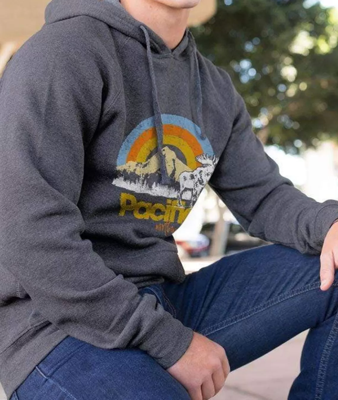 Cheap Men'S Ridiculously Soft Midweight Raglan Hooded Graphic Sweatshirt | Pacific Northwest Men Shirts